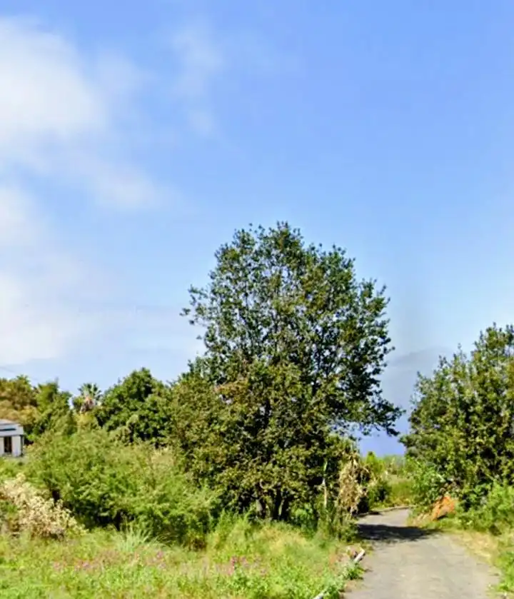 Rural land for sale in La Vega - El Amparo - Cueva del Viento, imagen 20