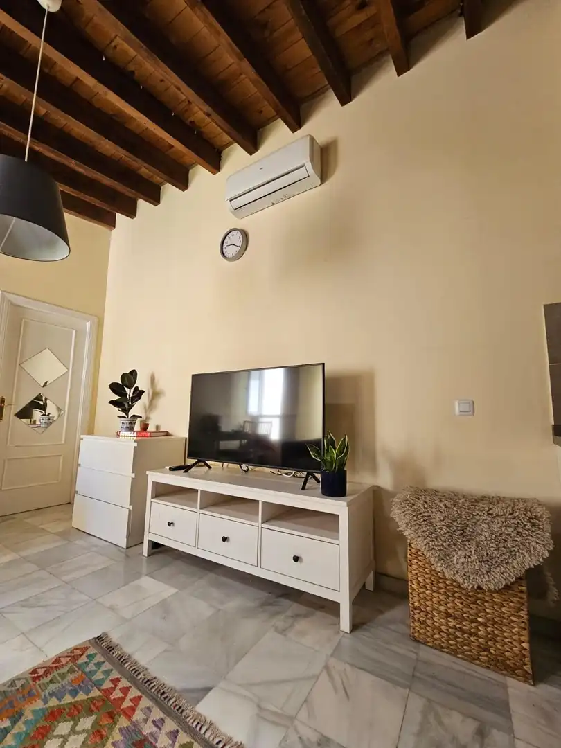 Sala de estar de Ático de alquiler en Sevilla con Aire acondicionado, Terraza y Amueblado