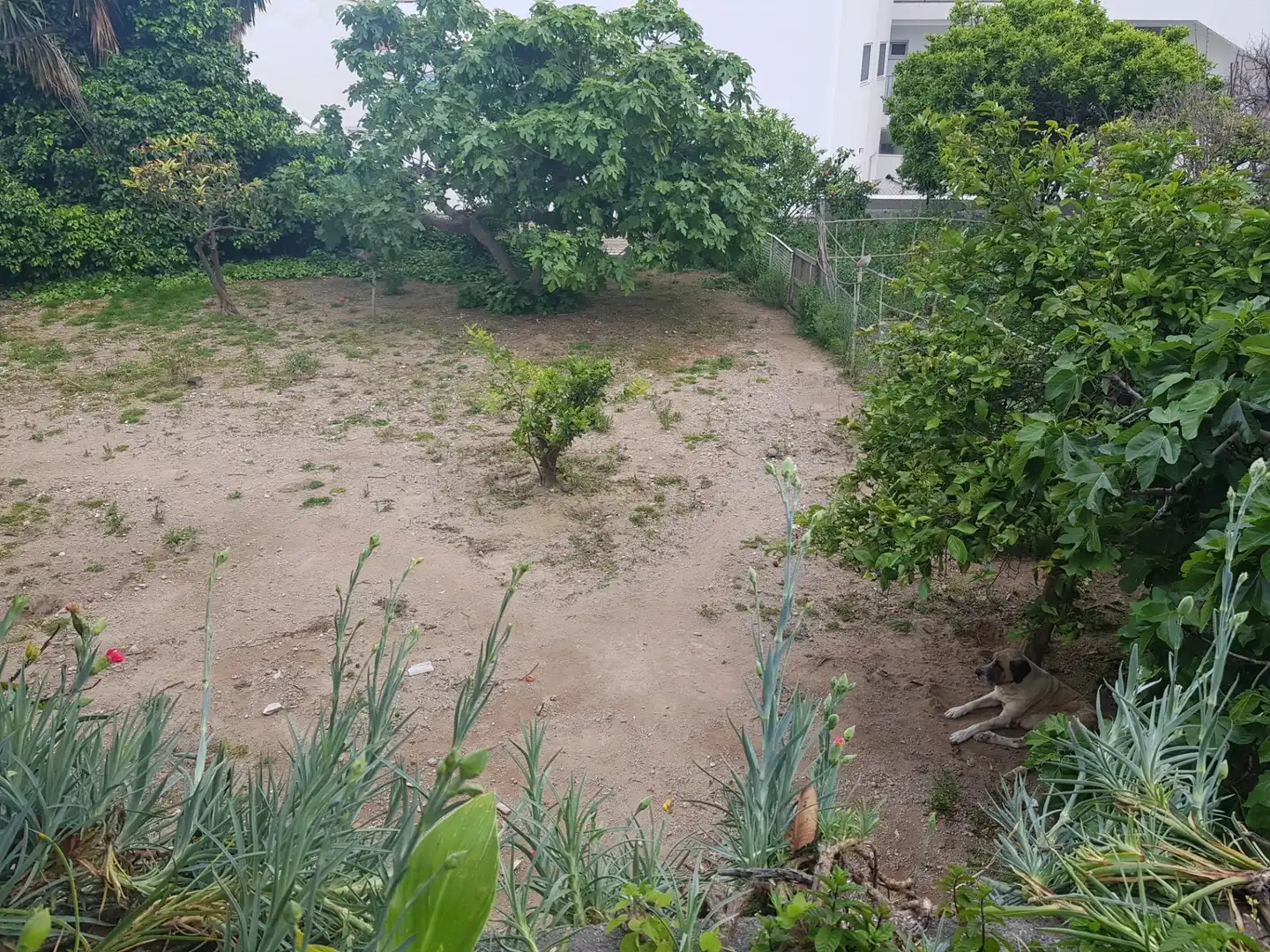 Terrenos y solares en venta en Calle Los Bancales, imagen 3