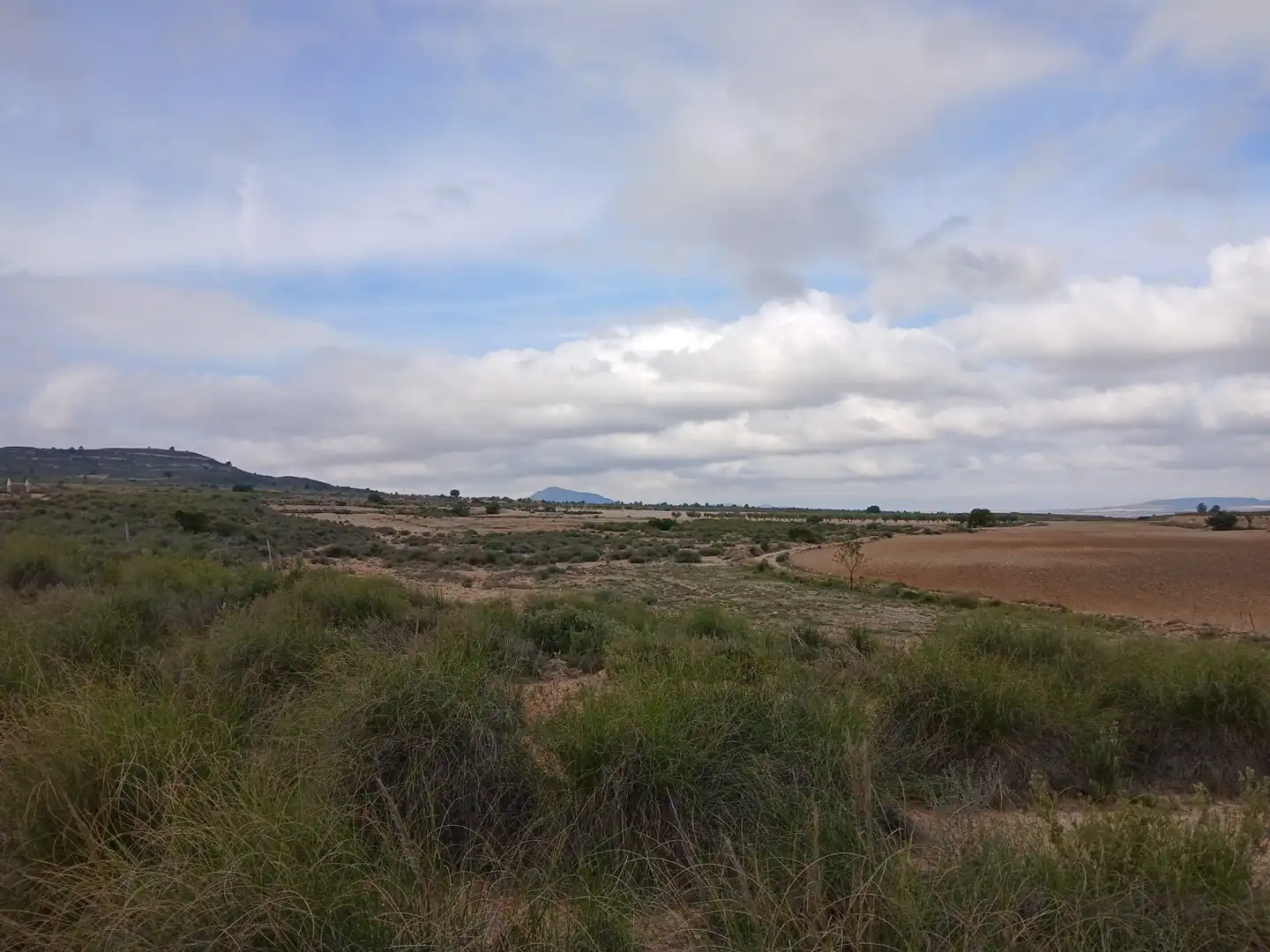 Residential land for sale in Yecla, imagen 10