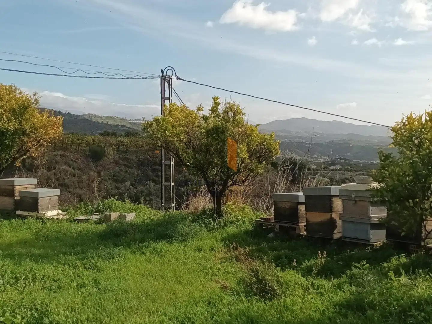 Finca rústica en venta en Cútar con Terraza, Trastero y Piscina