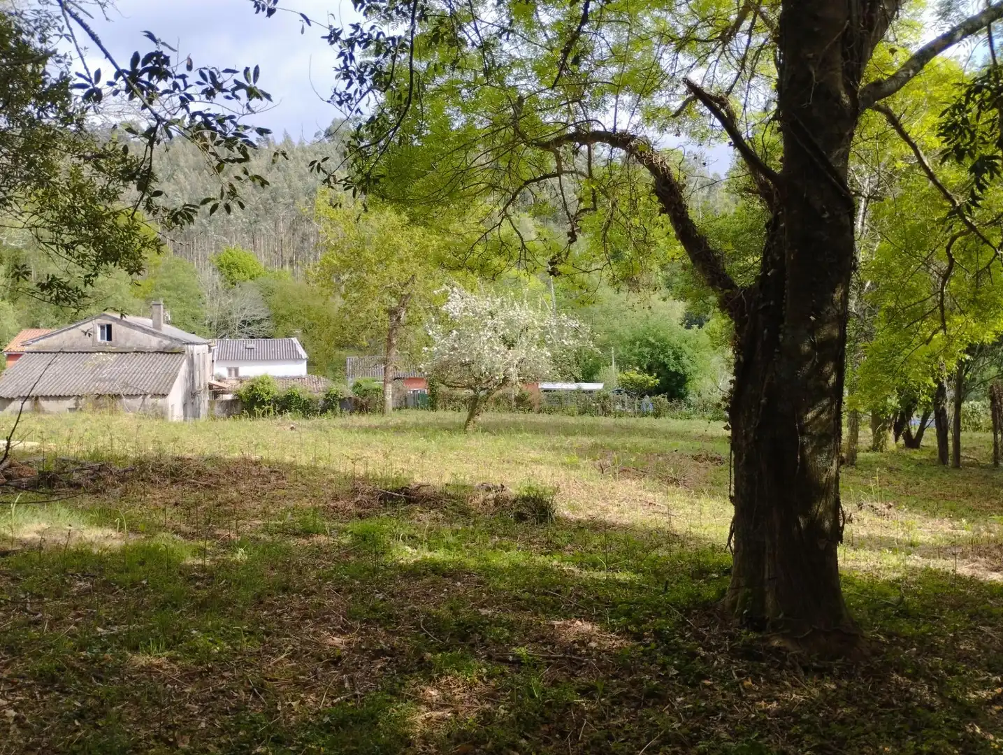 Detached homes for sale in Cabanas  with Private garden