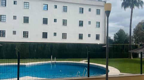 Photo 2 of Flat for rent in Casco Antiguo, Mairena del Aljarafe