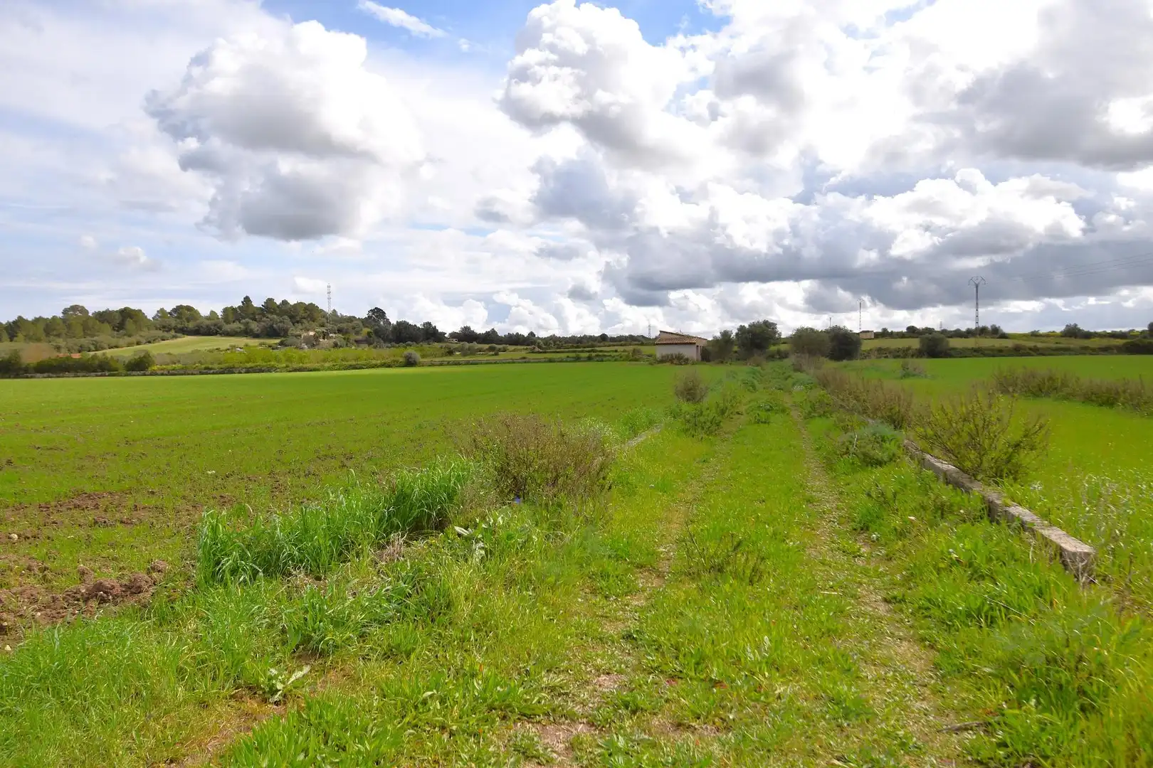 Residential land for sale in Muro, imagen 11