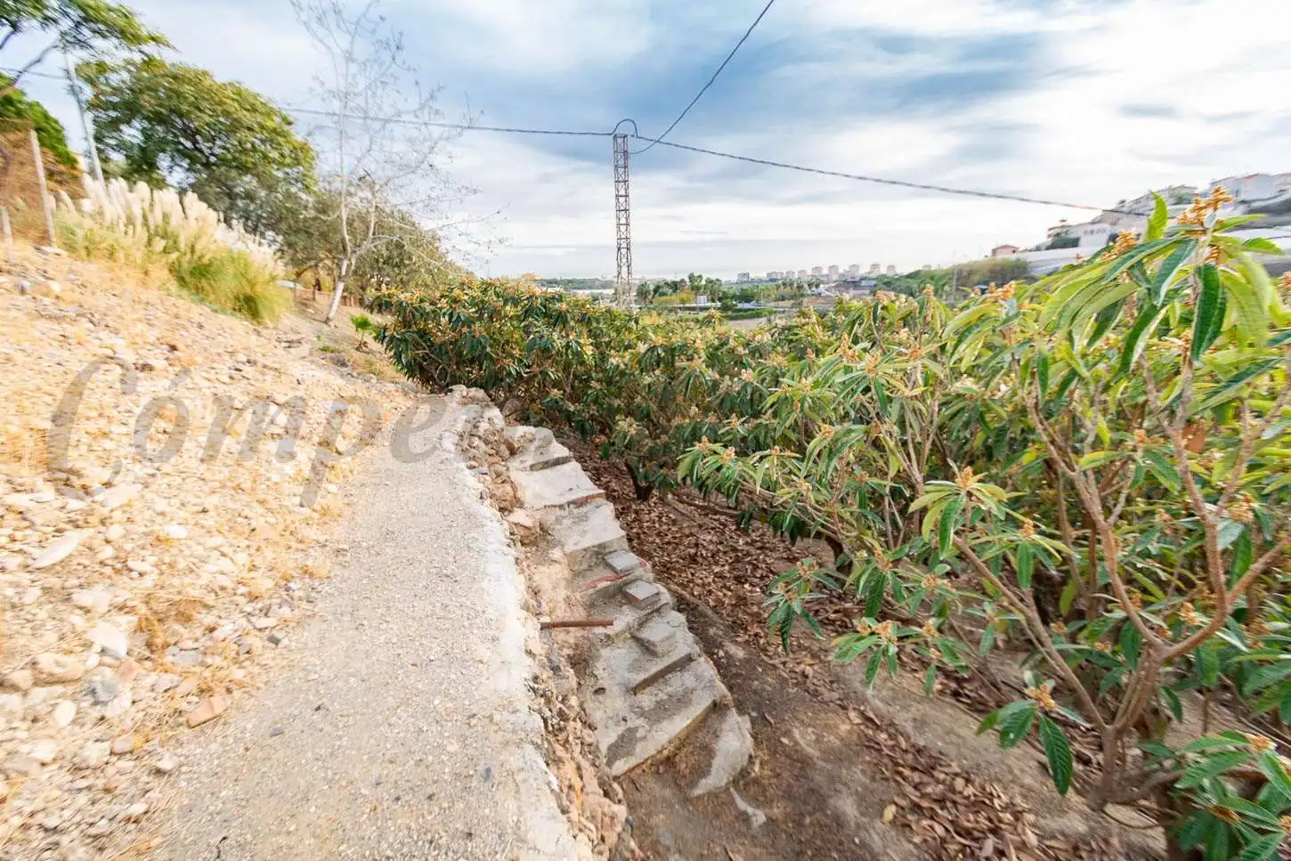 Maison à vendre à Torrox Pueblo, imagen 4