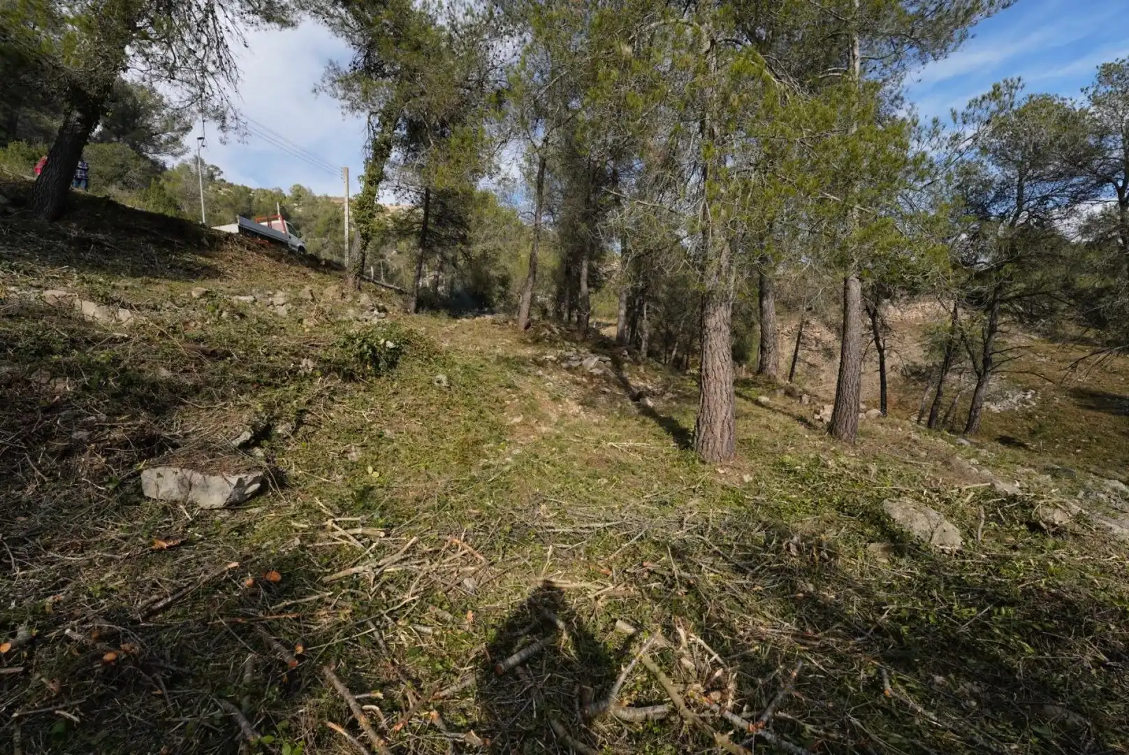 Terrenys i solars en venda a Olesa de Bonesvalls