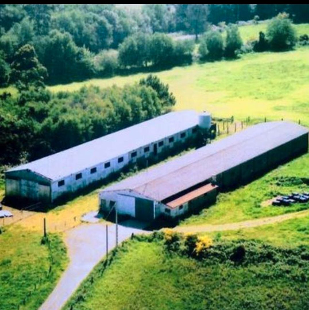 Exterior view of Industrial buildings to rent in Curtis