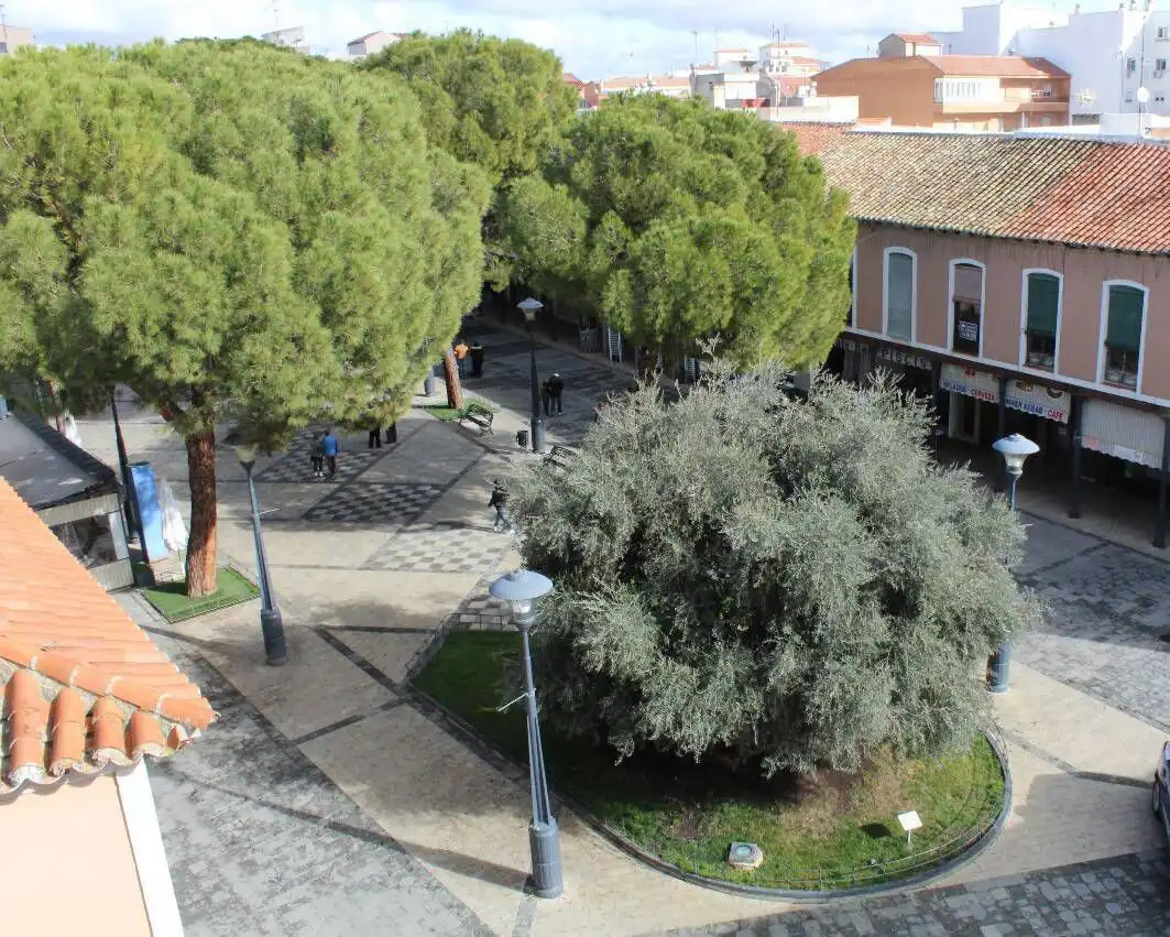 Flat with terrace for sale in Fontecha