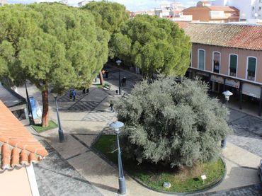 Appartamento con balcone in vendita a Fontecha