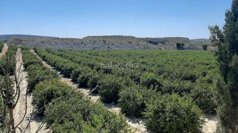 Photo 4 of Land for sale in N/a, -1, Paus - Poligono San Blas, Alicante
