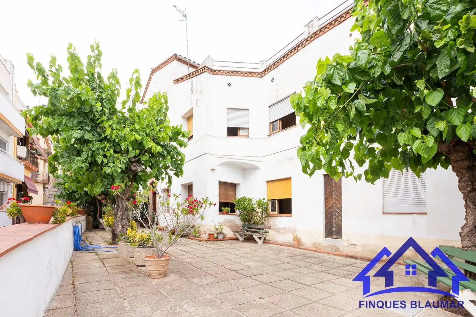Vista exterior de Finca rústica en venda en Arenys de Mar amb Calefacció, Jardí privat i Terrassa
