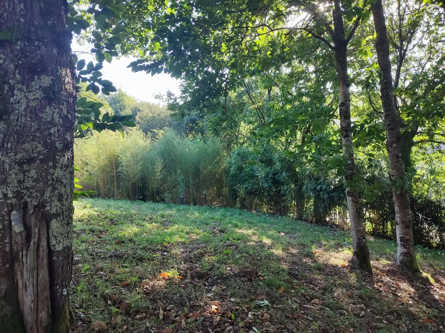 Terreno residenziale in vendita a Área de Ames, imagen 17