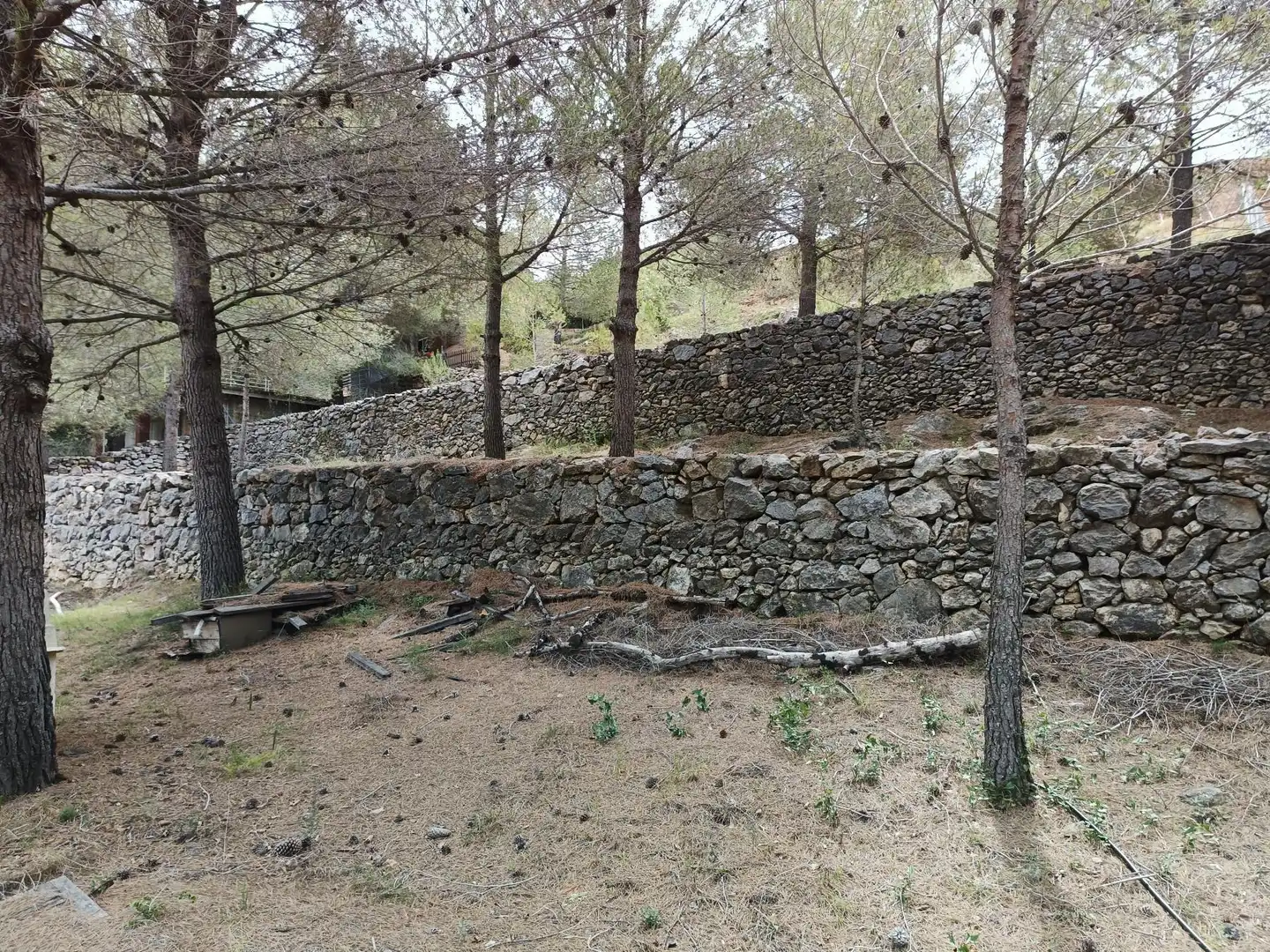 Lands and plots for sale in Borriol, imagen 10