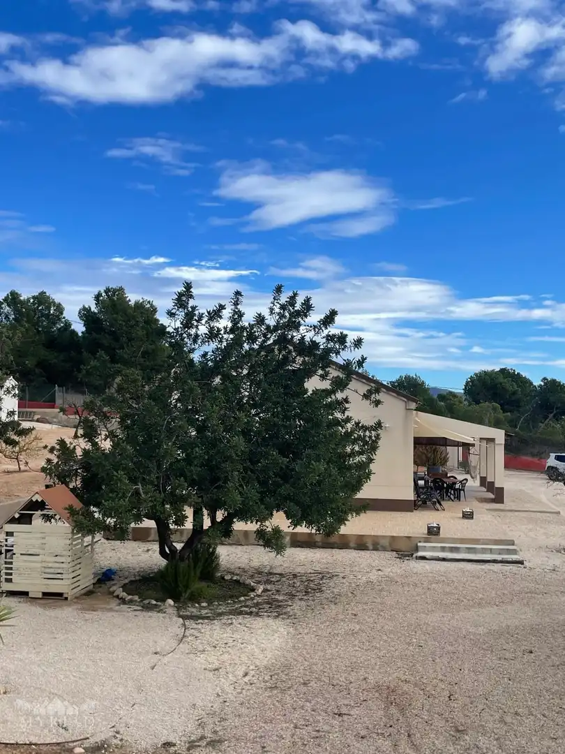 Vista exterior de Casa o xalet en venda en Jumilla amb Terrassa