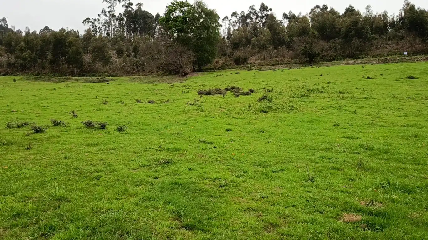 Grundstücke und Bauplätze zum Verkauf in Caserio La Laguna, imagen 12