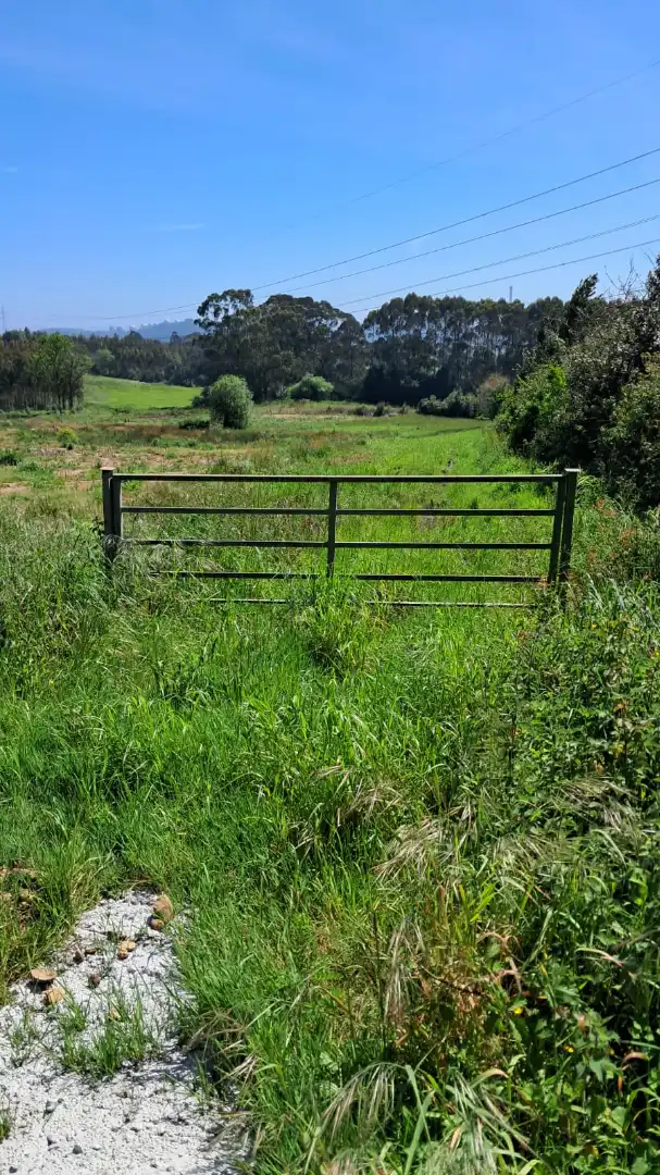 Terreno rustico in vendita a Polígono Prendes Industrial, imagen 2
