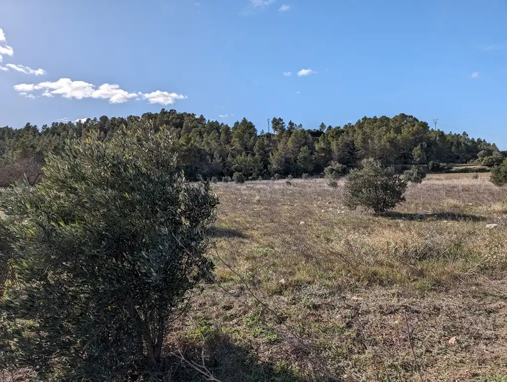 Terreni e lotti in vendita a Arens de Lledó
