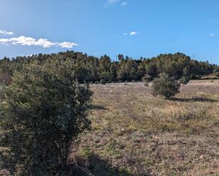 Terreny en venda en Arens de Lledó