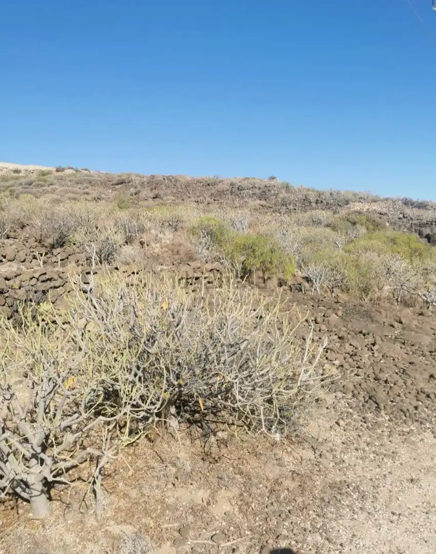 Rural land for sale in Carretera Güimar-Arafo