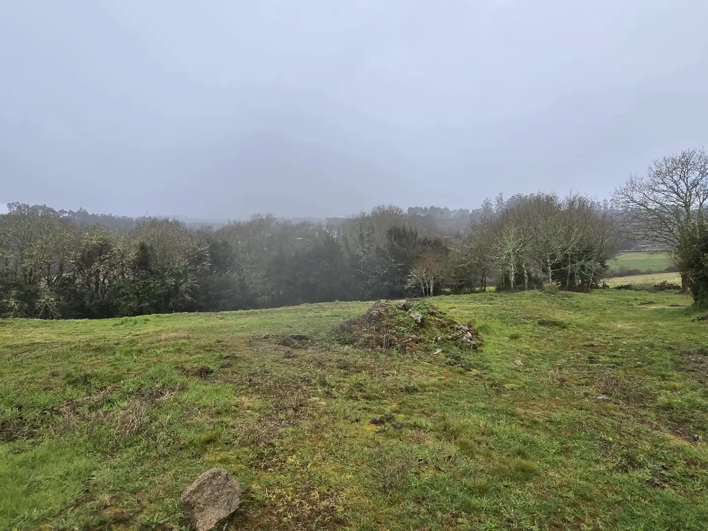 Finca rústica en venta en Cerceda con Jardín privado