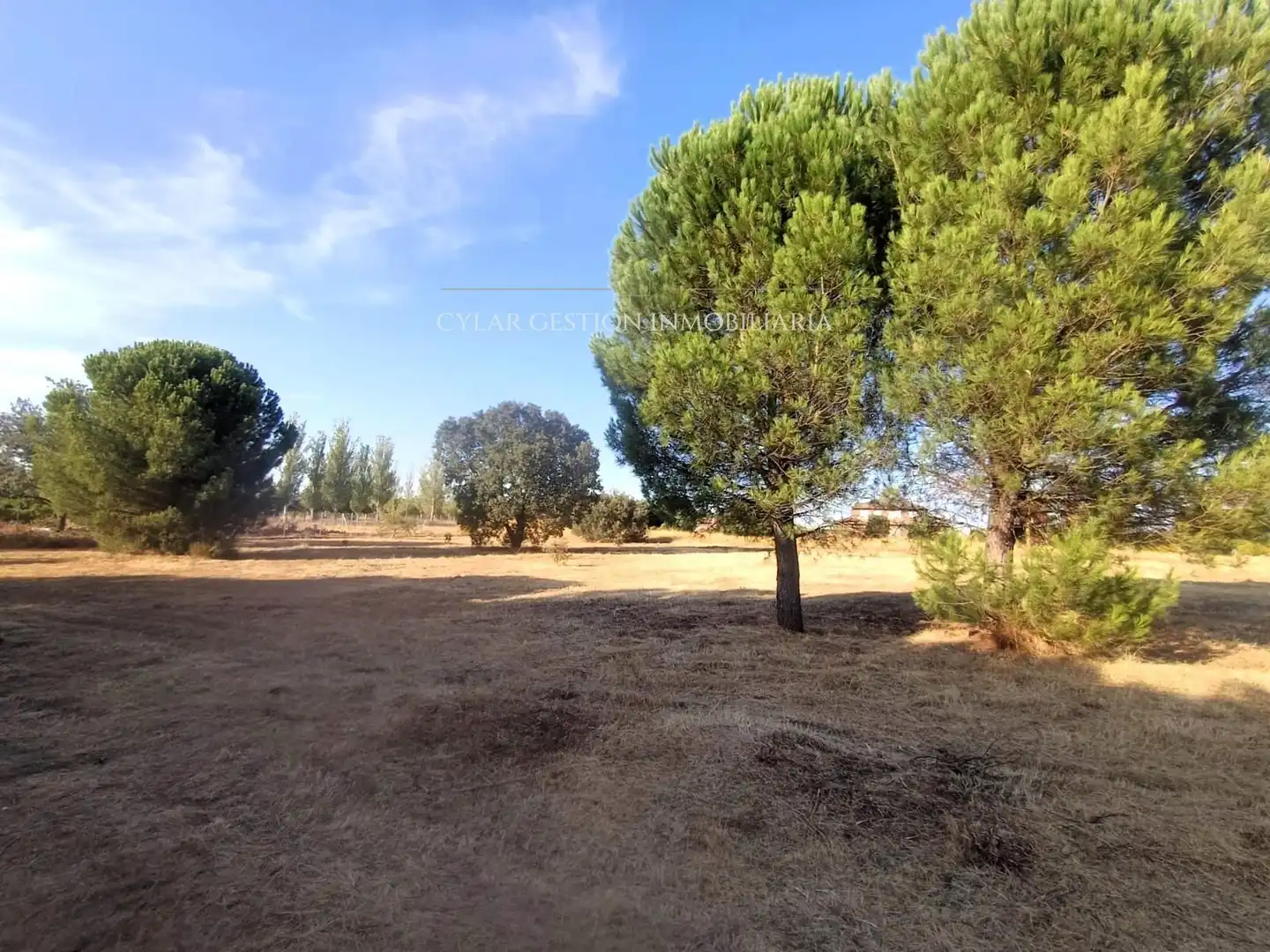 Casa o xalet en venda en Valdunciel amb Calefacció i Jardí privat