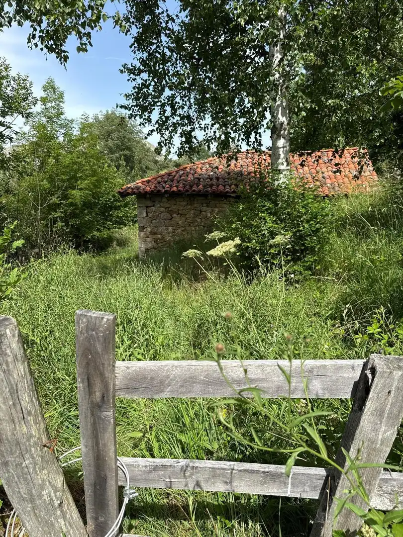 Casa con jardín en venta en Quirós, imagen 9