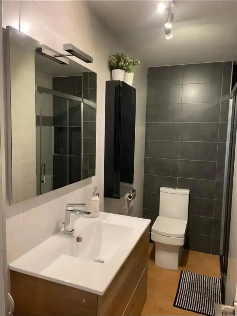 Bathroom of Flat for rent in  Sevilla Capital  with Air Conditioner and Terrace