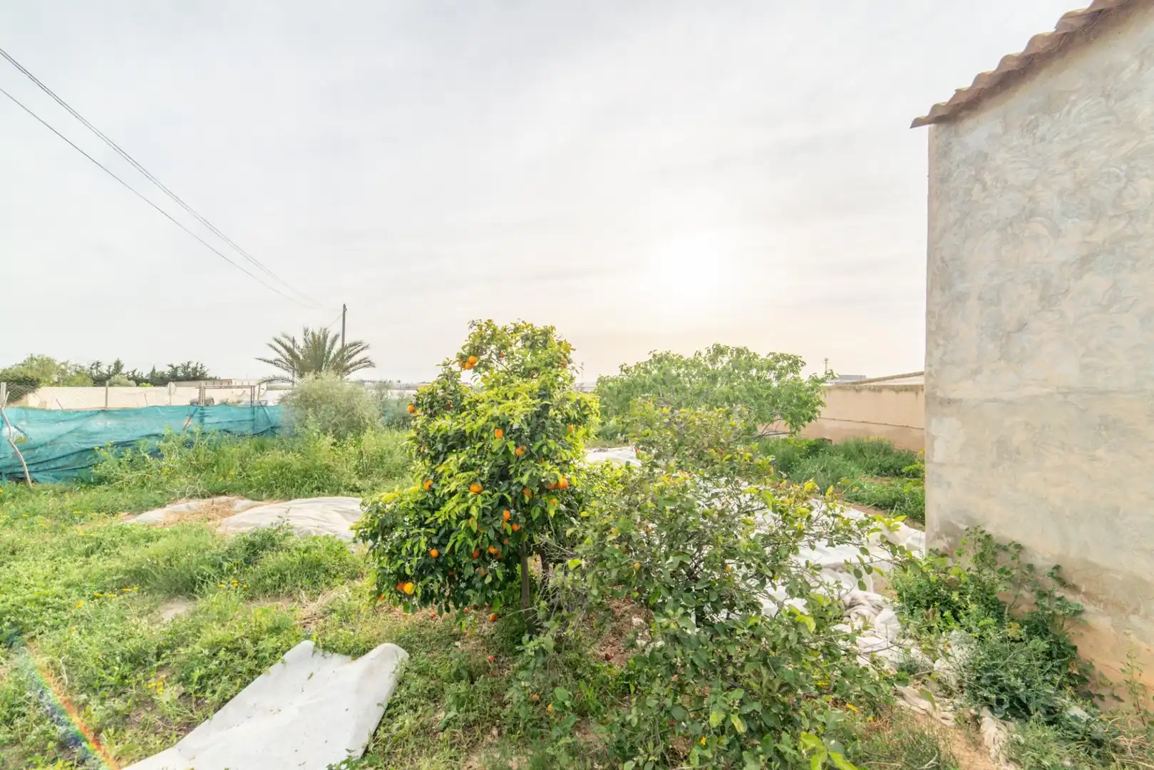 Casa o xalet en venda en Torre-Pacheco amb Terrassa, Traster i Moblat