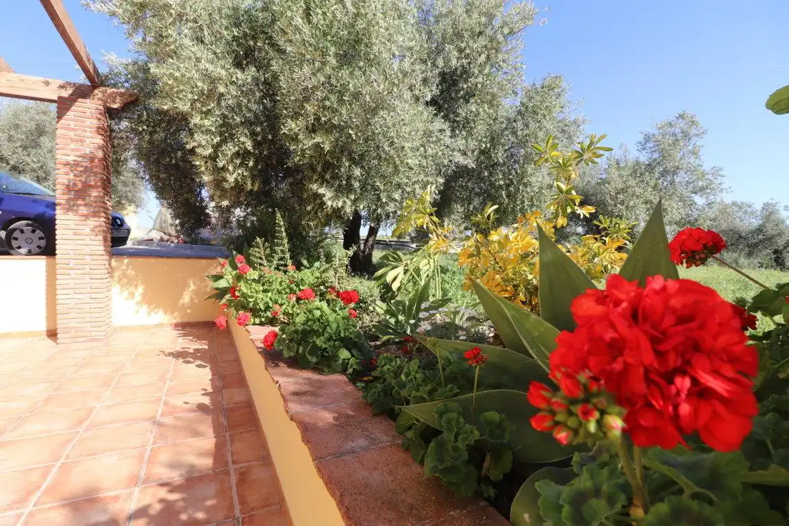 Garden of Houses for rent in Coín  with Private garden, Terrace and Swimming Pool