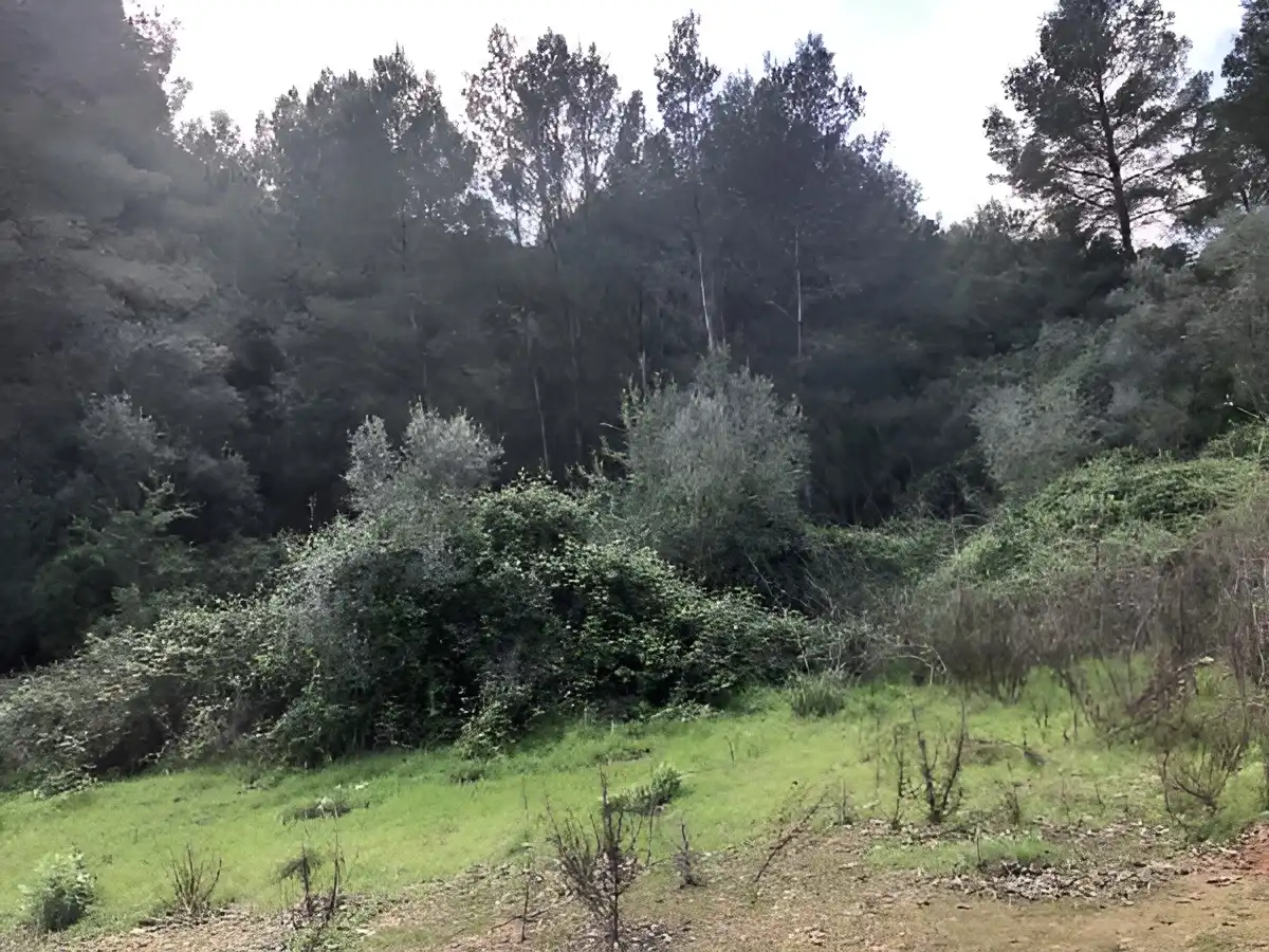 Rustikales Grundstück zum Verkauf in PARAJE EMBASTIDA O BASTIDA, imagen 7
