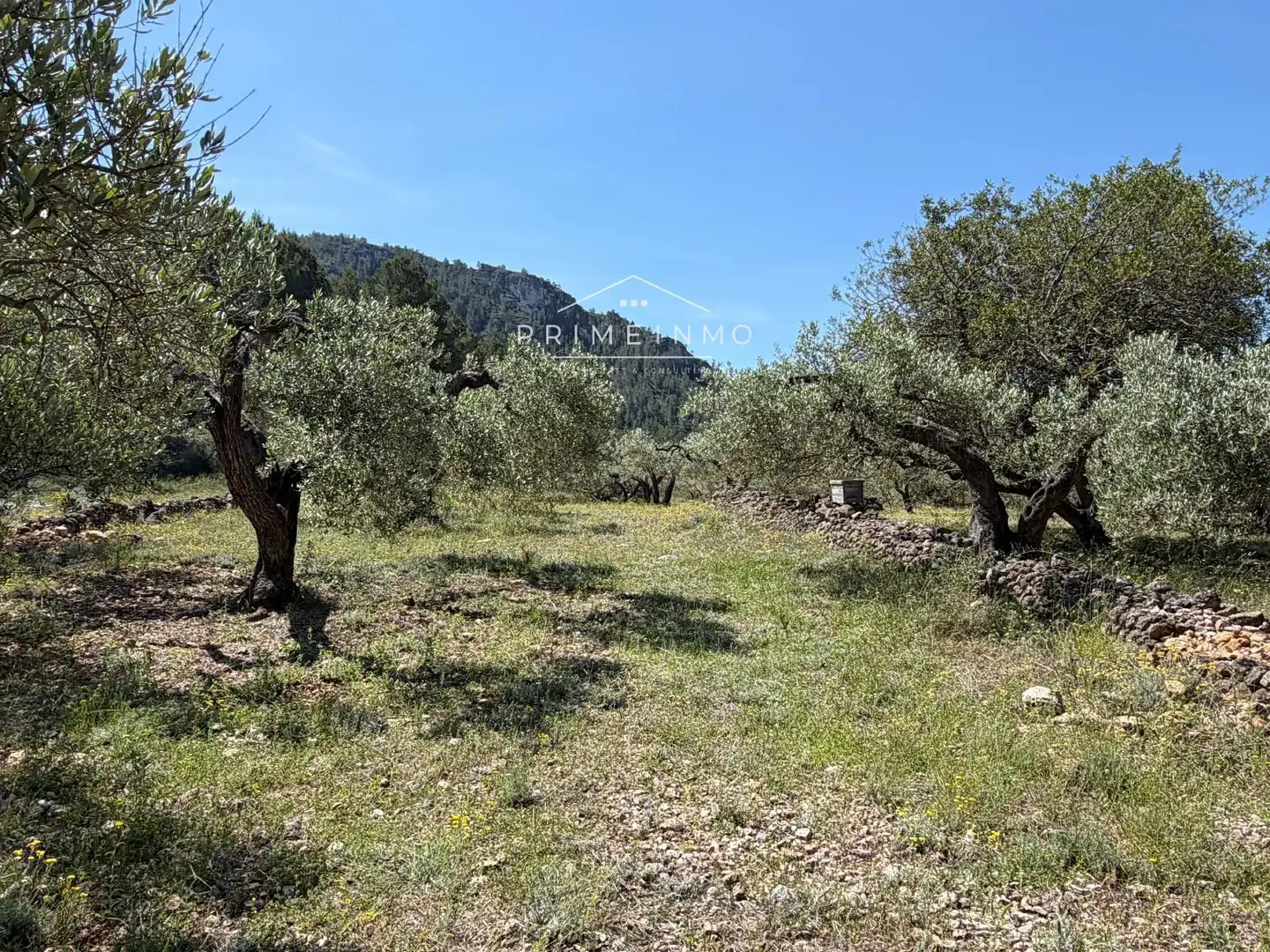 Terreno rústico en venta en L'Ametlla de Mar pueblo, imagen 15