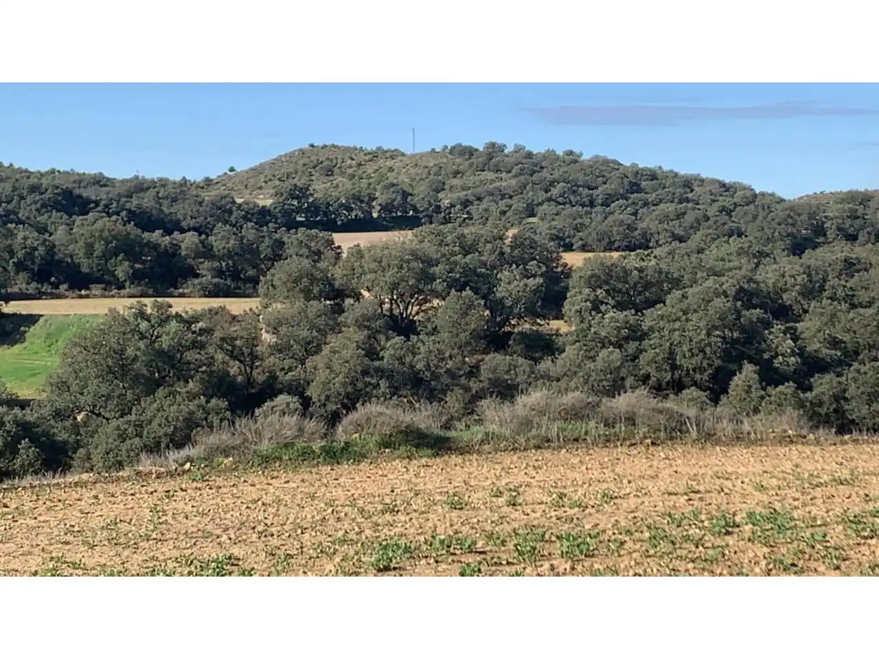 Terreno en venta en San Esteban de Litera