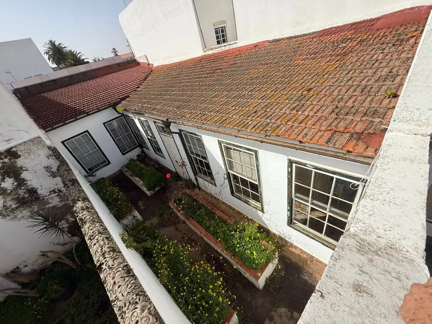 Exterior view of Houses for sale in San Cristóbal de la Laguna  with Private garden and Terrace