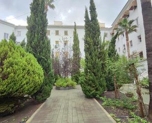 Vista exterior de Planta baixa de lloguer en Alicante / Alacant amb Aire condicionat, Calefacció i Jardí privat