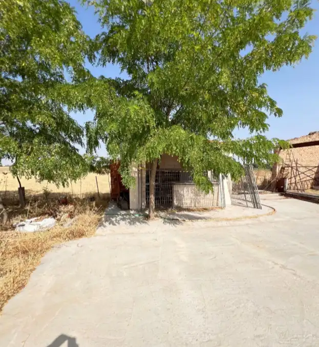 Exterior view of Houses for sale in Miguelturra