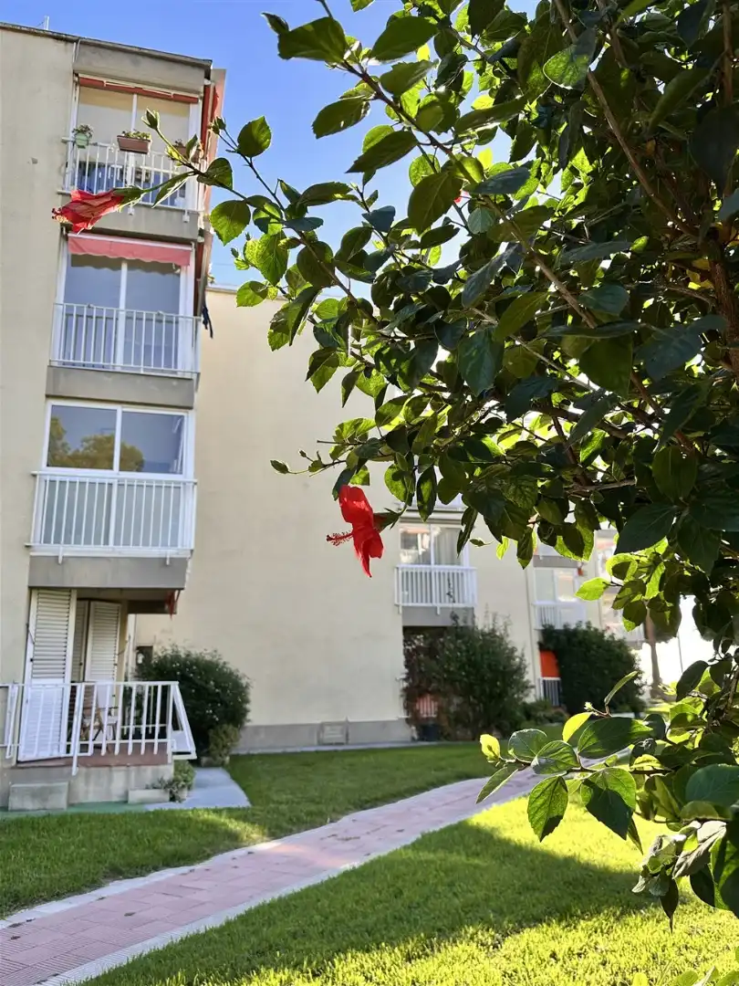 Apartamento de alquiler en Passeig Marítim, Port - Horta de Santa María