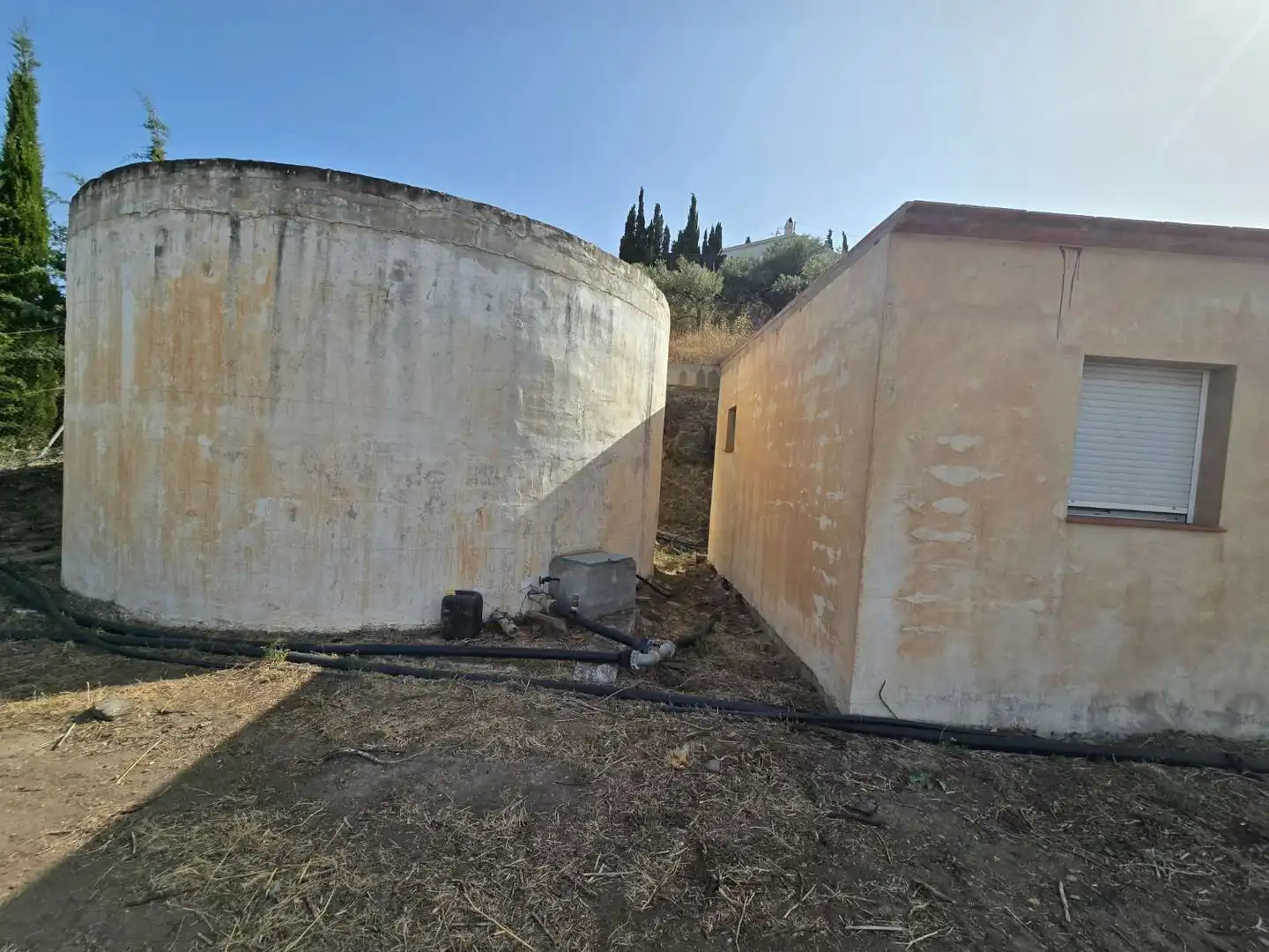 Vista exterior de Finca rústica en venda en Torrox