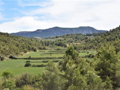 Land for sale in Valderrobres