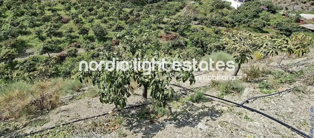 Casa en venta en Vélez-Málaga ciudad, imagen 33