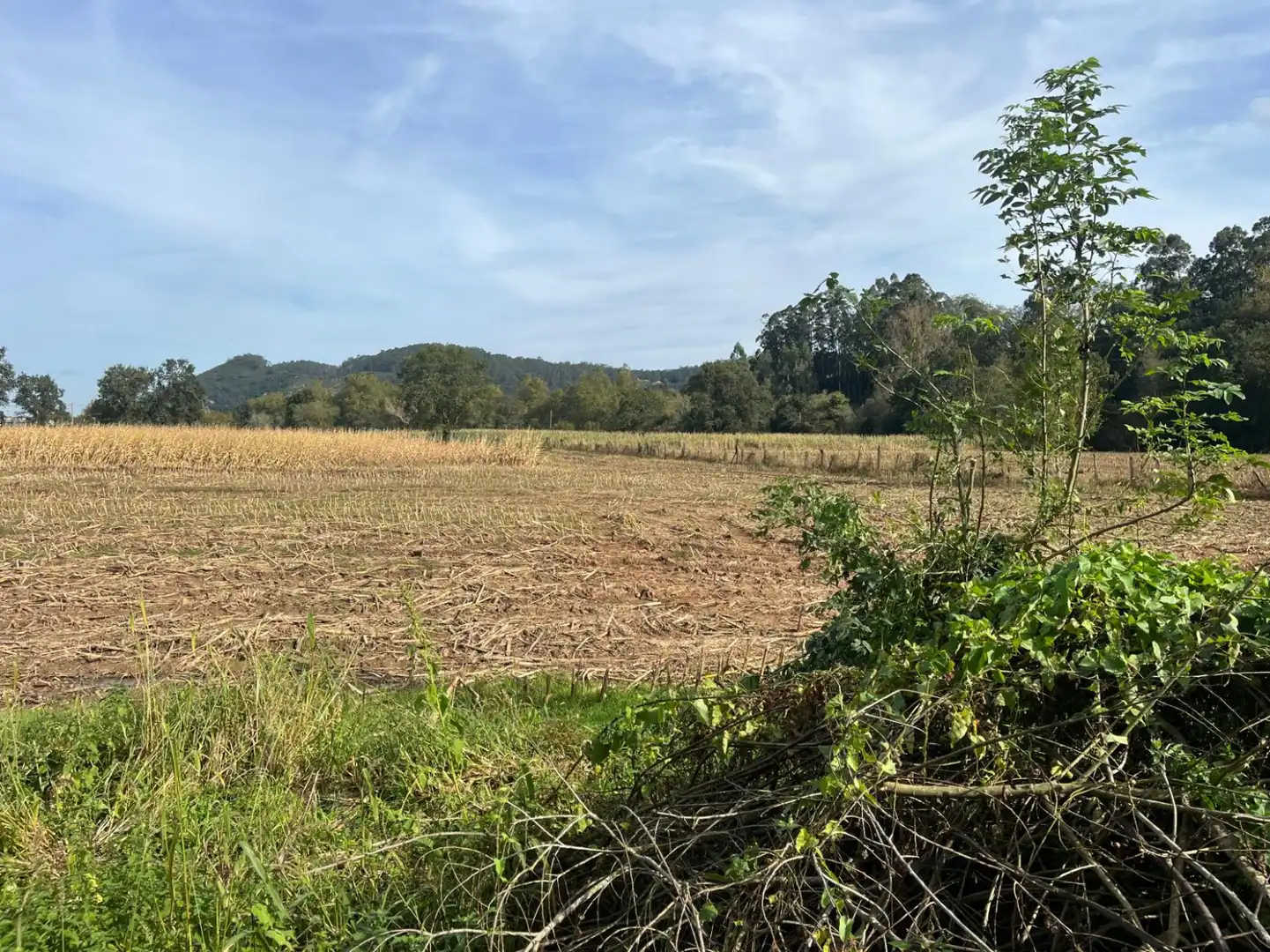 Terreno en venta en Hermosa - CAMPO REDONDO HERMOSA, Ceceñas - Hermosa