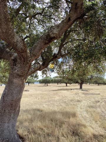 Terreno en Venta en Polígono 501 en San Pedro del Valle