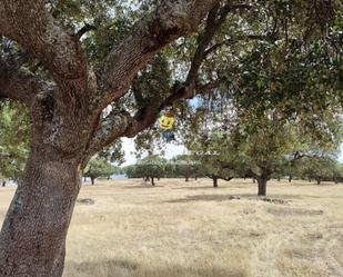 Exterior view of Land for sale in San Pedro del Valle