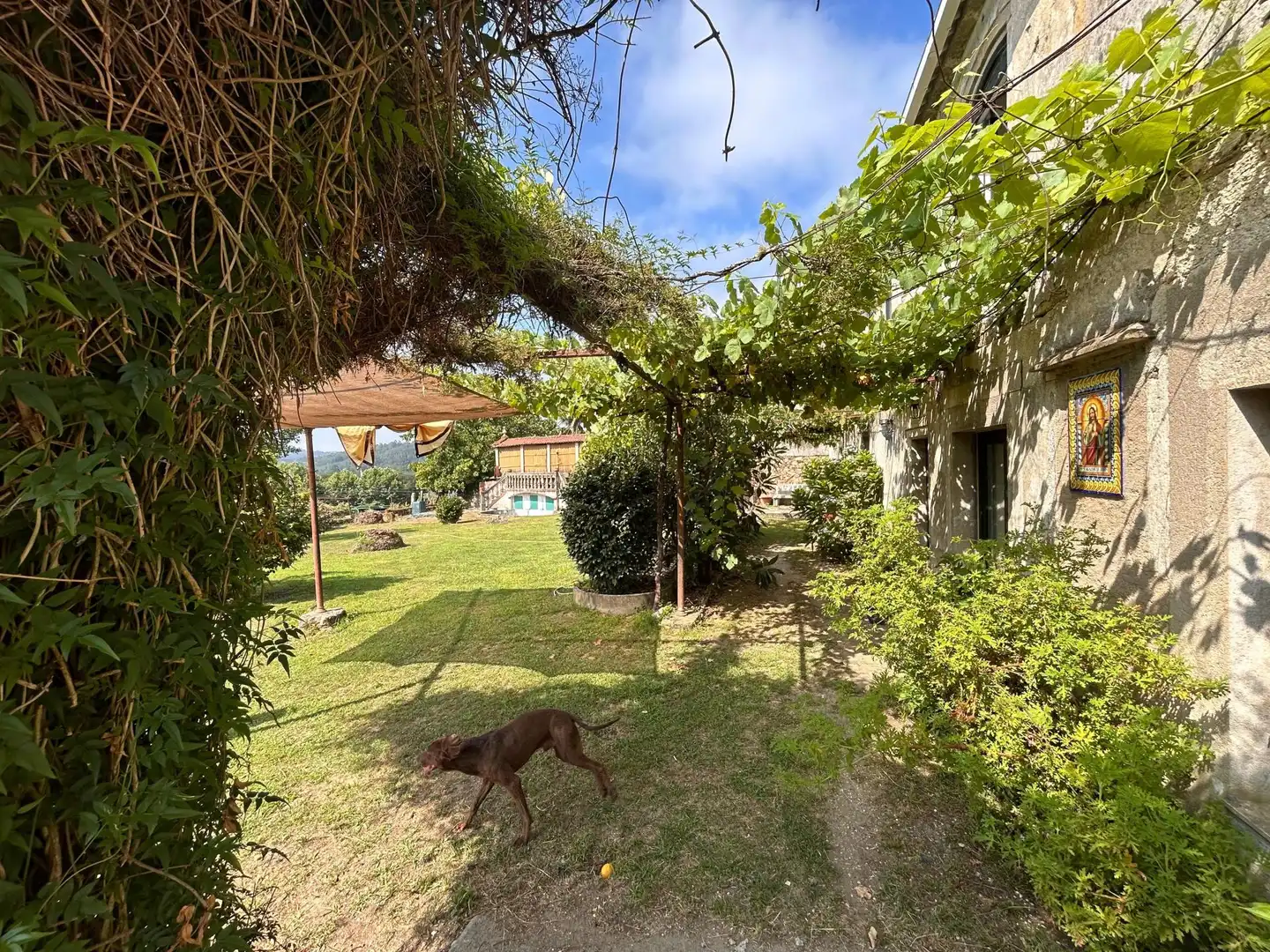 Garden of Country homes for sale in Vedra  with Heating, Terrace and Swimming Pool