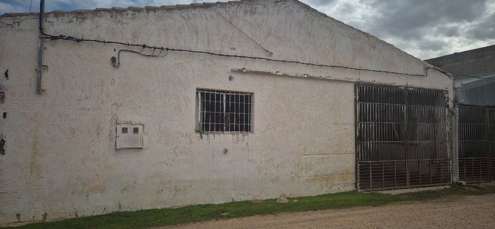 Exterior view of Industrial buildings for sale in Minaya
