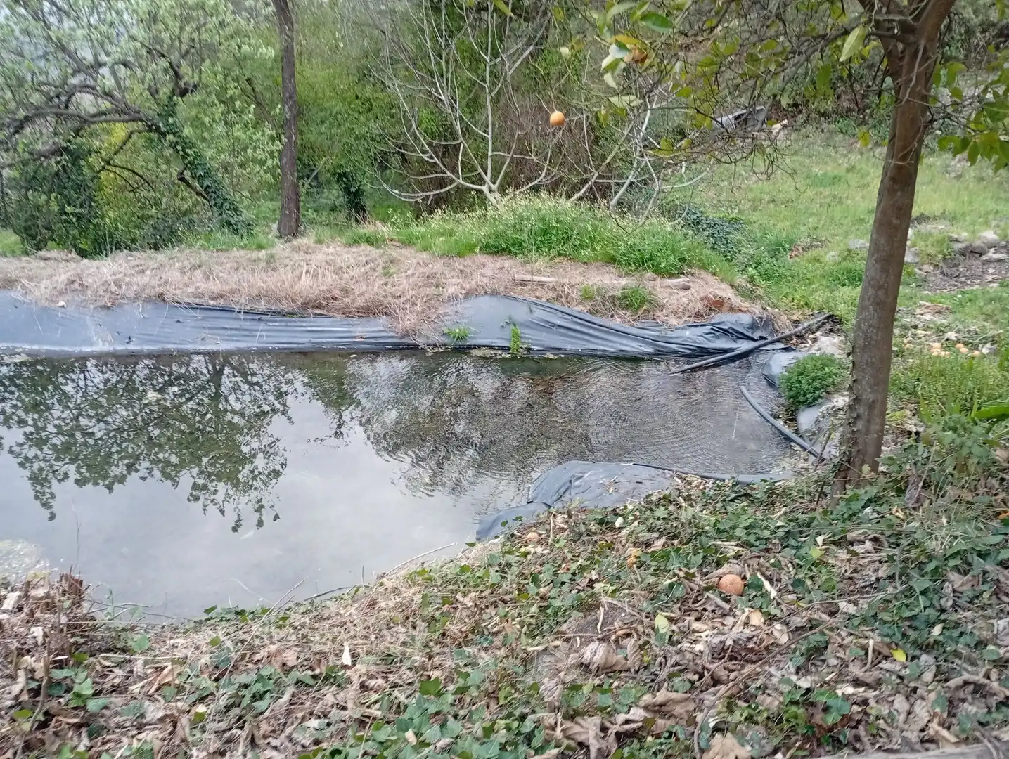 Terreni e lotti in vendita a Valverde de la Vera, imagen 87