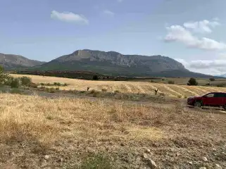 Terreny en venda en Vélez-Rubio