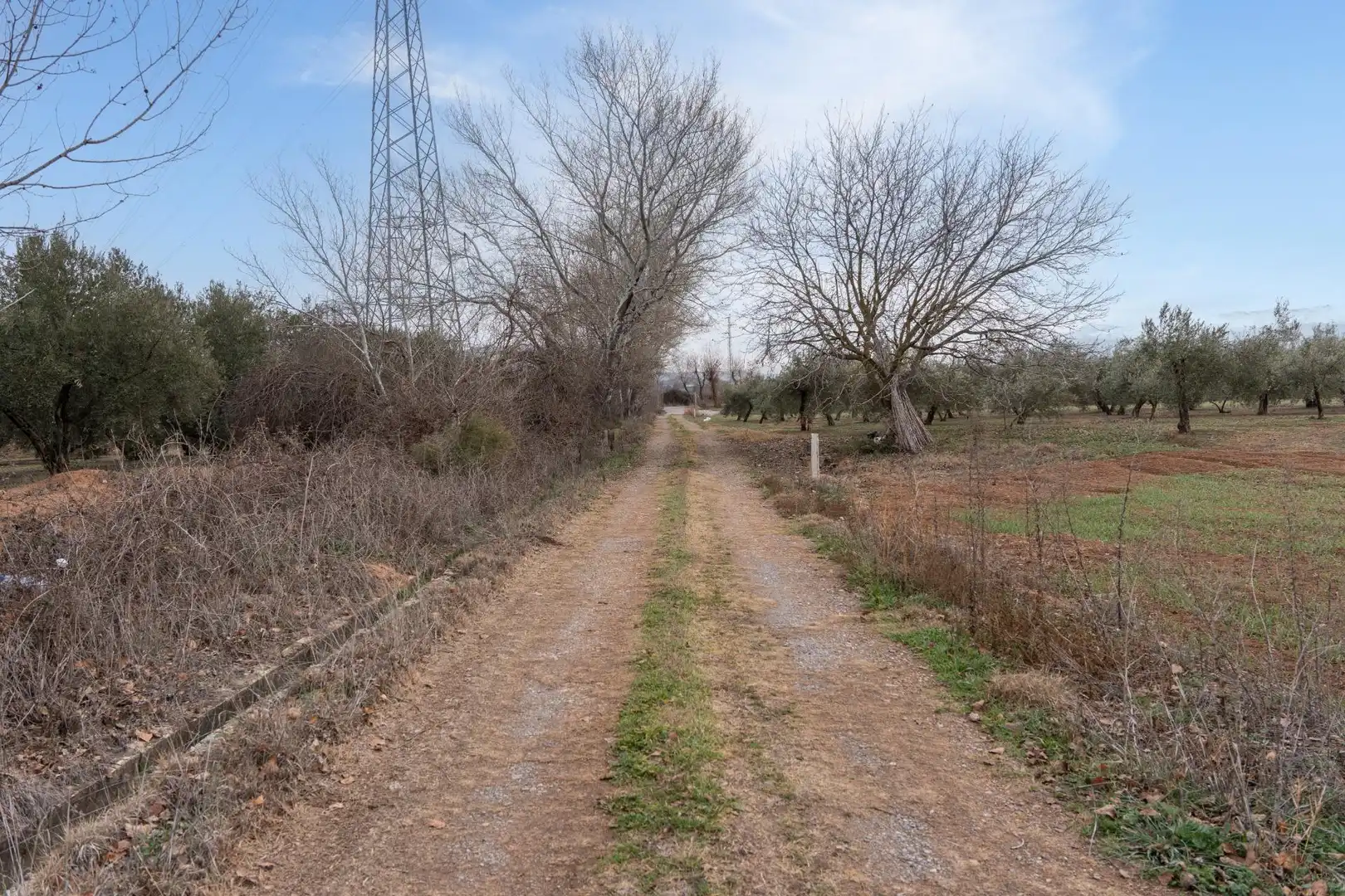 Terrenys i solars en venda a Polígono 23 Parcela 63 LA ZANJA. ALBOLOTE (GRANAD 23, imagen 51