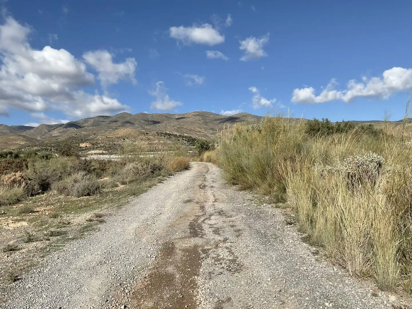 Exterior view of Land for sale in Padules