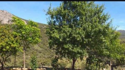 Foto 4 de Residencial en venda a Cc-20.2, Villar del Pedroso, Cáceres