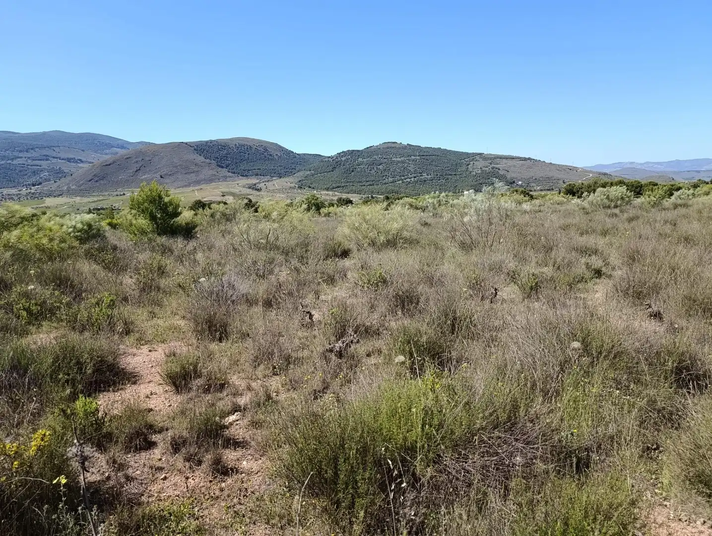 Terreny rústic en venda a Paterna del Río